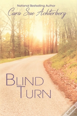 Capa do artigo Blind Turn