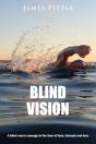 Blind Vision: A Blind Mans Courage In Th - Preview