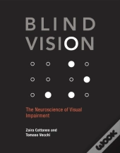 Blind Vision