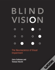 Capa do artigo Blind Vision
