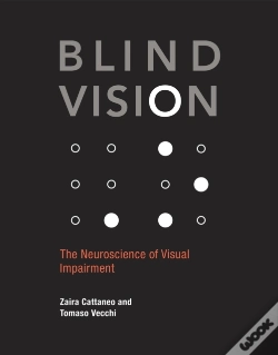 Capa do artigo Blind Vision