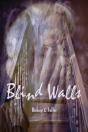 Blind Walls - Preview