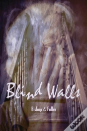 Capa do artigo Blind Walls