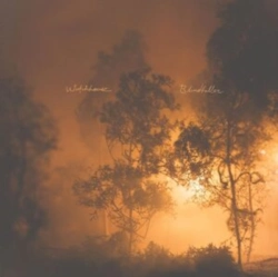 Capa do artigo Blindfaller - CD