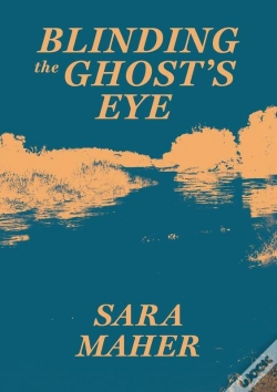 Capa do artigo Blinding The Ghost'S Eye