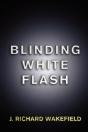 Blinding White Flash - Preview