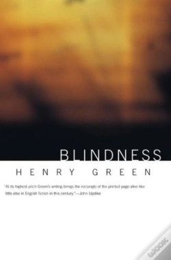 Capa do artigo Blindness