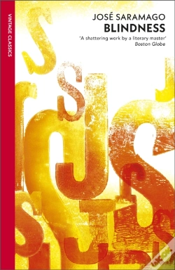 Capa do artigo Blindness