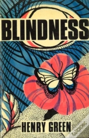Capa do artigo Blindness