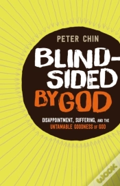 Capa do artigo Blindsided By God