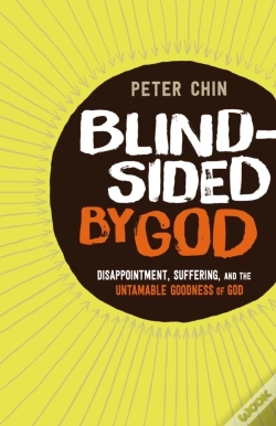 Capa do artigo Blindsided By God