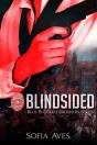 Blindsided - Preview