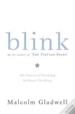 Capa do artigo Blink