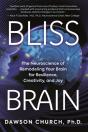 Bliss Brain - Preview