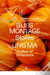 Capa do artigo Bliss Montage