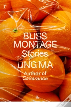 Capa do artigo Bliss Montage