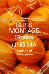 Capa do artigo Bliss Montage