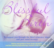 Capa do artigo Blissful Birth