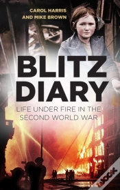 Capa do artigo Blitz Diary