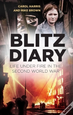 Capa do artigo Blitz Diary