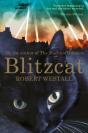 Blitzcat - Preview
