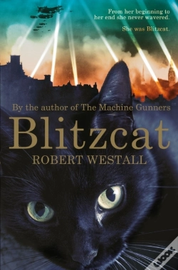 Capa do artigo Blitzcat