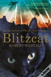Capa do artigo Blitzcat