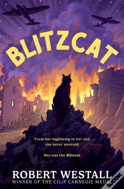 Capa do artigo Blitzcat