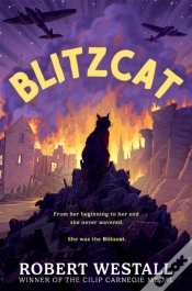 Capa do artigo Blitzcat