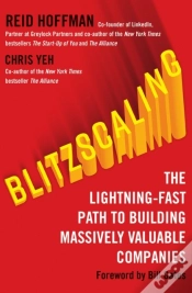 Capa do artigo Blitzscaling
