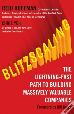 Capa do artigo Blitzscaling