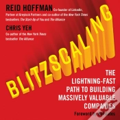 Capa do artigo Blitzscaling
