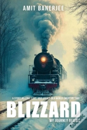 Capa do artigo Blizzard