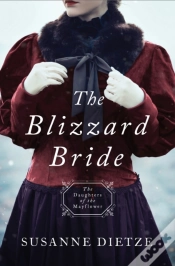 Capa do artigo Blizzard Bride