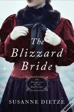 Capa do artigo Blizzard Bride