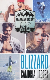 Capa do artigo Blizzard
