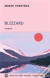 Capa do artigo Blizzard