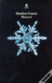 Capa do artigo Blizzard