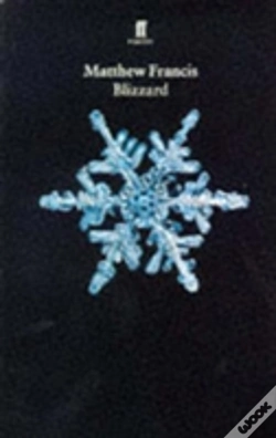 Capa do artigo Blizzard