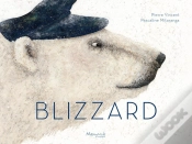 Capa do artigo Blizzard