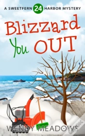 Capa do artigo Blizzard You Out