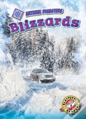 Capa do artigo Blizzards
