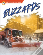 Capa do artigo Blizzards