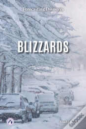 Capa do artigo Blizzards