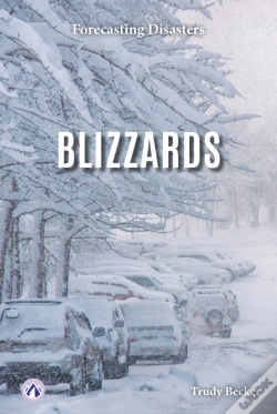 Capa do artigo Blizzards