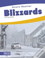 Capa do artigo Blizzards