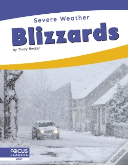 Capa do artigo Blizzards