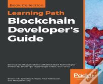 Blockchain Developer'S Guide