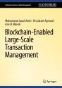 Blockchain-Enabled Large-Scale Transaction Management - Preview