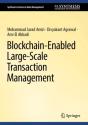 Blockchain-Enabled Large-Scale Transaction Management - Preview
